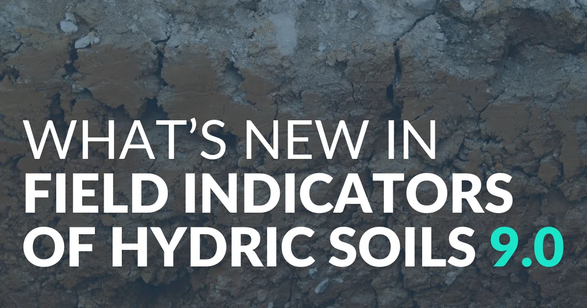 What's New in Version 9.0 of the Field Indicators of Hydric Soils?